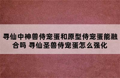 寻仙中神兽侍宠蛋和原型侍宠蛋能融合吗 寻仙圣兽侍宠蛋怎么强化